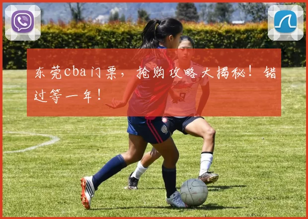 东莞cba门票，抢购攻略大揭秘！错过等一年！